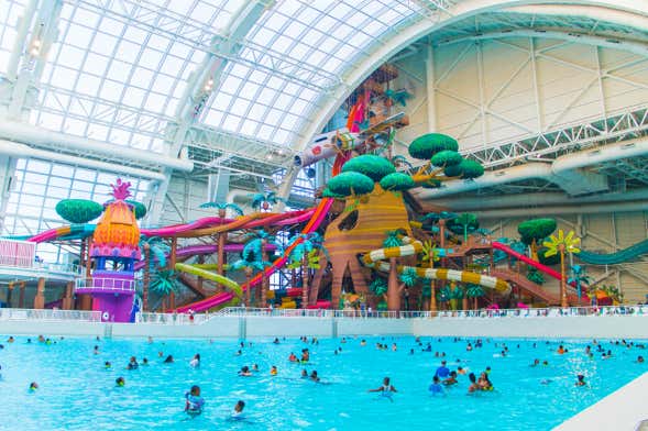 Billet pour le DreamWorks Water Park