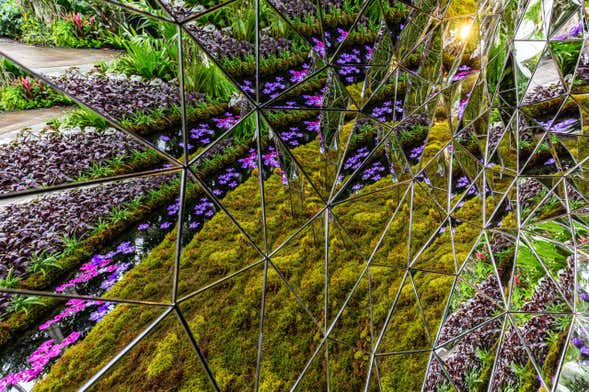 Billet pour le jardin botanique de New York