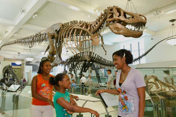 Billet pour le Musée américain d'histoire naturelle