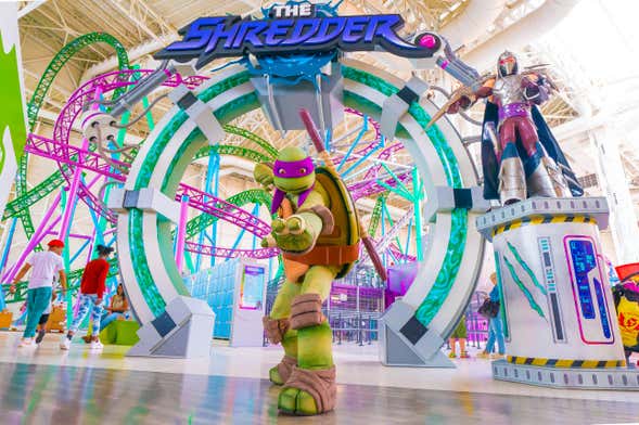 Billet pour le Nickelodeon Universe
