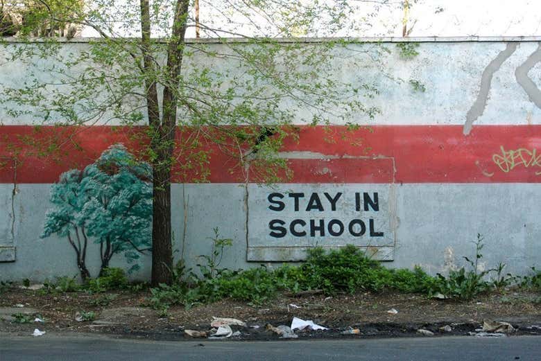 À la découverte du Bronx