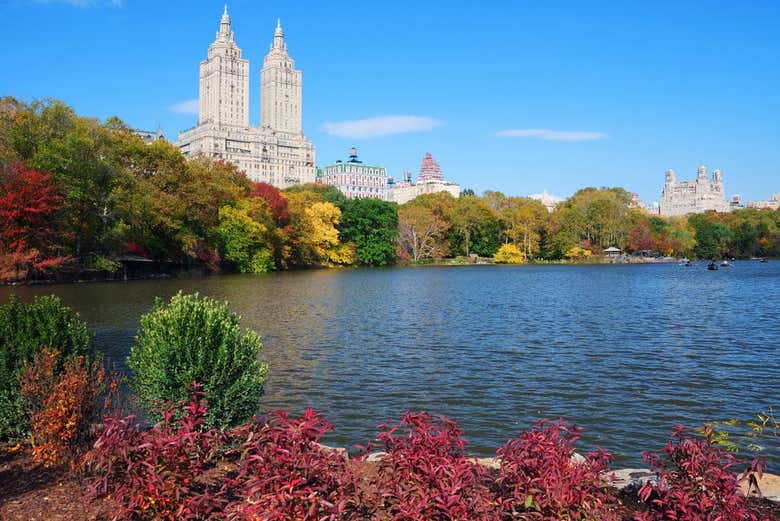 Central Park de New York