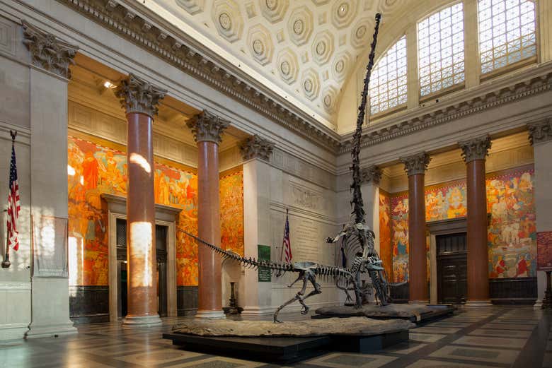 Explorez le Musée américain d'histoire naturelle