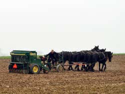 Communauté Amish de Lancaster, Labourage traditionnel