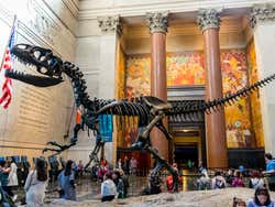 Musée Histoire Naturelle