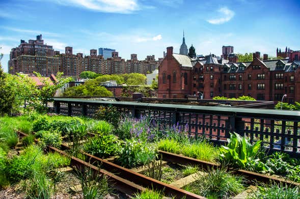 Visite d'Union Square, de la High Line et de Chelsea