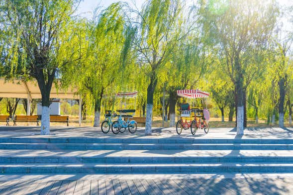 Balade en pousse-pousse dans Central Park